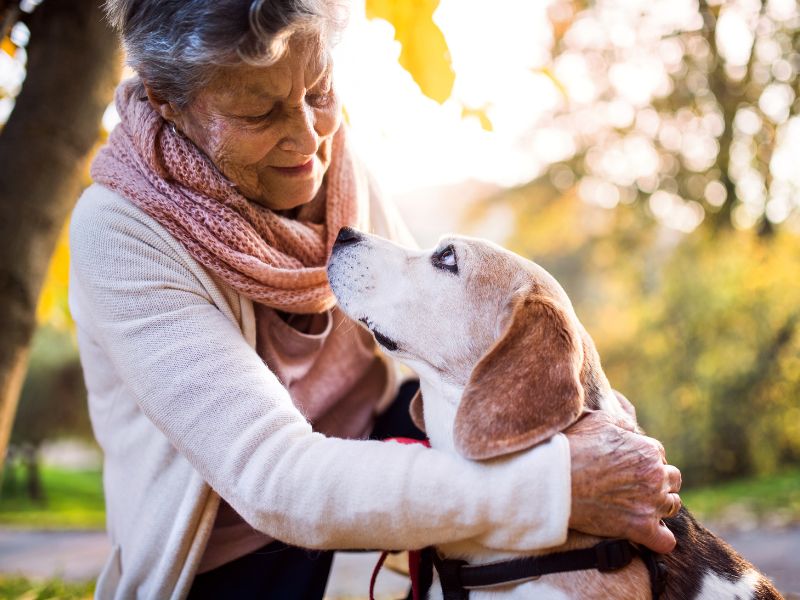 The Benefits of Pet Therapy in Care Homes